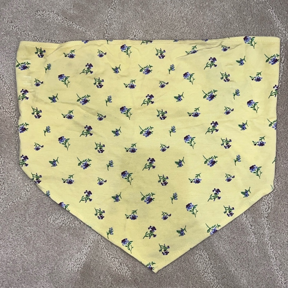 LIGHTLY WORN!!! Bandana crop top